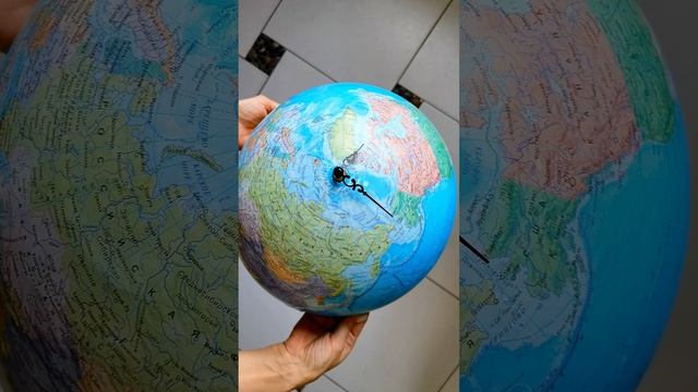 Хотели выбросить сломанный глобус, а я из него сделала оригинальные часы, которые украшают мою дачу