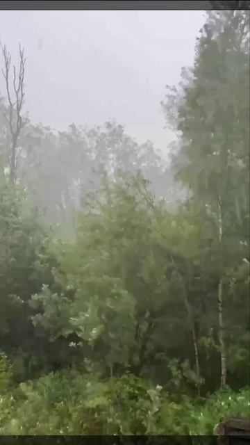 🌧️Тропический ливень на юго-западе Москвы дождь🌧️