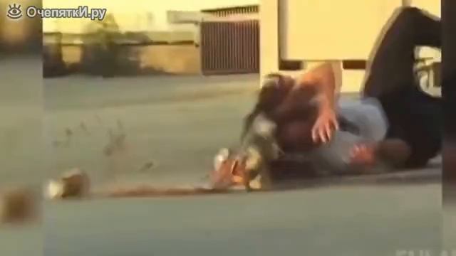 это ниндзя