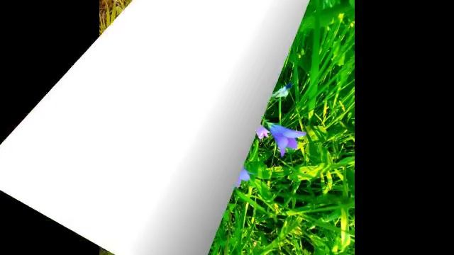 Цветы, природа и прекрасная мелодия.Июнь первый месяц лета☀️🌺.mp4