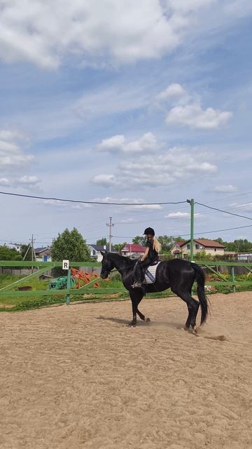 Даша на Дольче Вита, рысь на плацу, подготовка к стартам.