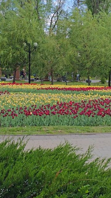 Парк Победы, Белгород