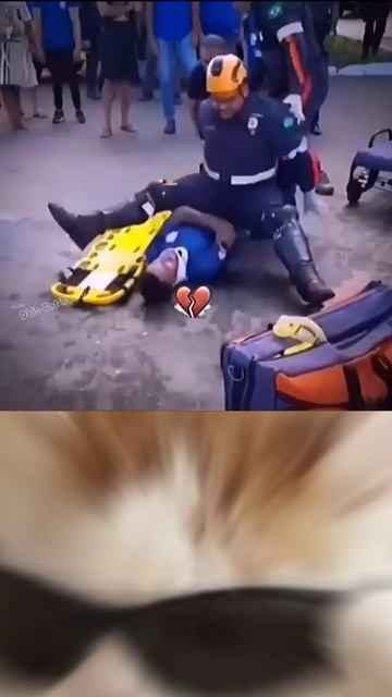 Cat funny
#fyp #viral #funny #meme #cat #shorts #Rushorts