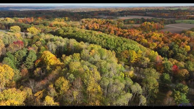 Эта музыка вдохнёт жизнь в каждый пейзаж - Green -- Kirk Osamayo -- Season Two (BLUE)