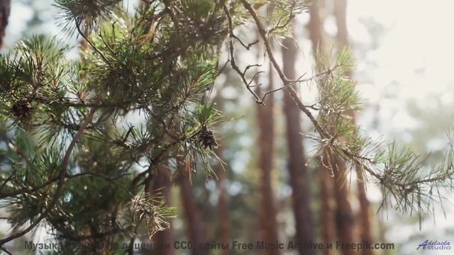 Мелодии, которые звучат громче, когда их слушаешь в объятиях у гор - If-You-re-Wondering -- Ketsa --