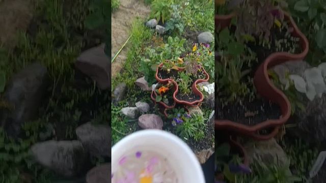 видео с лизочком❤️ #духи