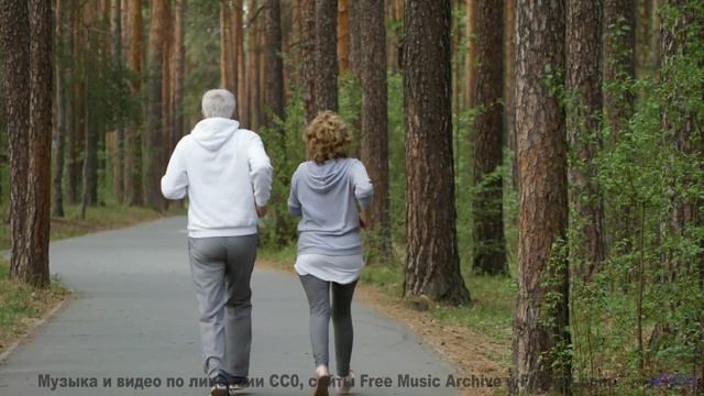 Погружение в природу становится полным благодаря мелодии - Pajaros (XLIX) -- opo -- Estudios Indigen