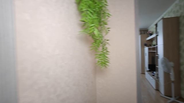 1000061192.mp4