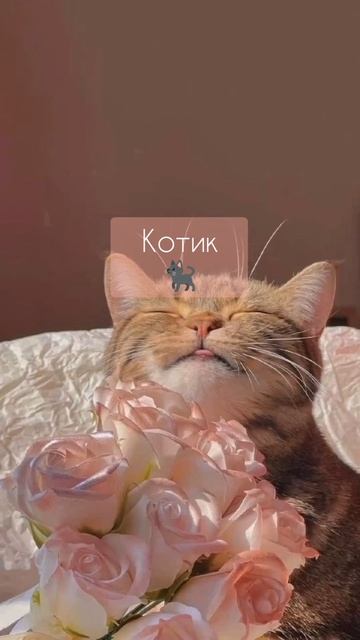 #эстетика