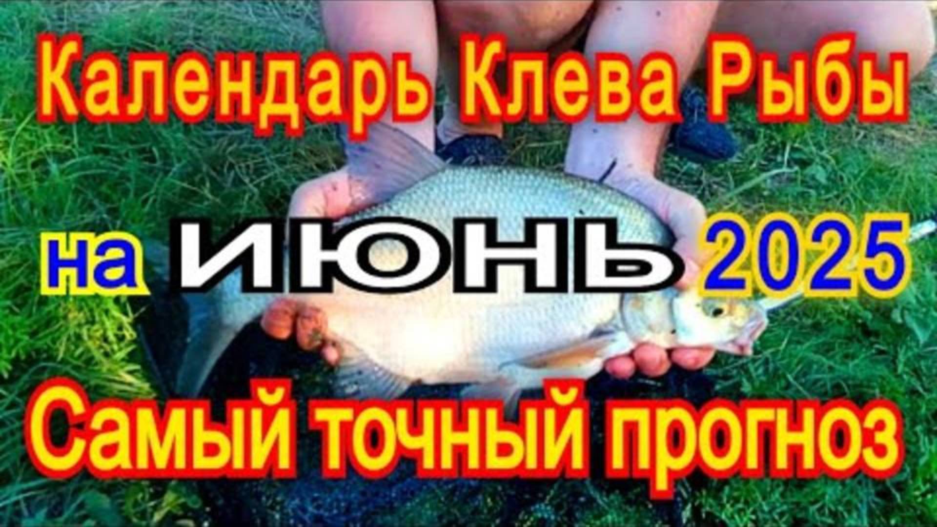 ЭТОТ КАЛЕНДАРЬ КЛЁВА В ИЮНЕ 2025 ВЫЗВАЛ БУРЮ У РЫБАКОВ!🐟