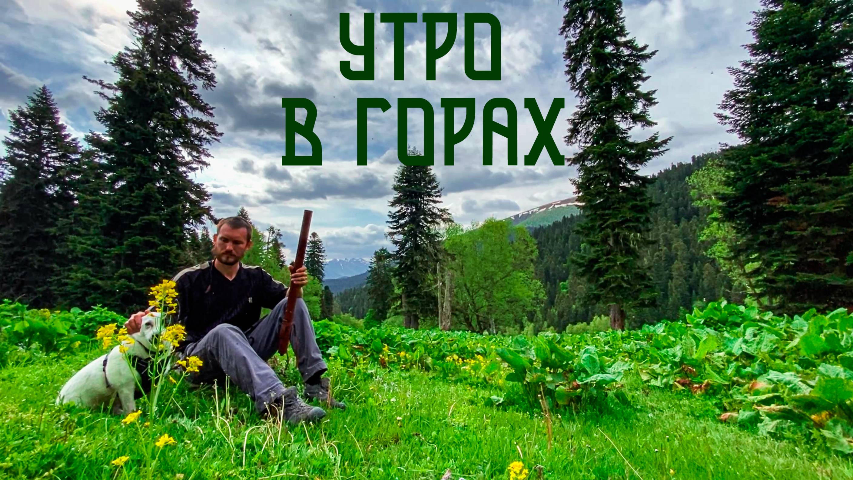 Утро в Горах / Горный Лес, Скалы и Хребты в Этнической Музыке