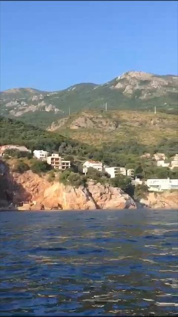 Тёплого летнего дня вам!