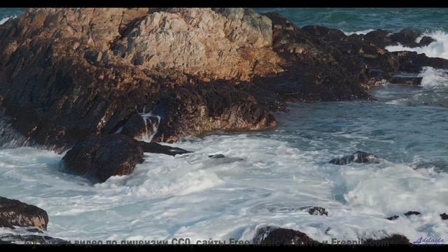 Песня, под которую хочется уйти в лес - El Nino -- HoliznaCC0 -- THE NOISE - Barely Fauna