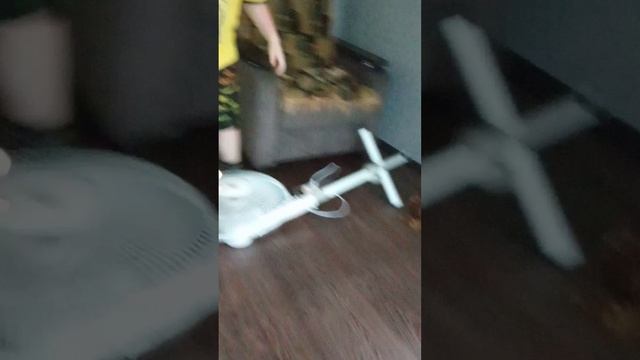Безумное видео часть 1