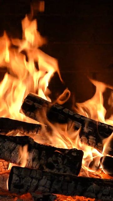 #fireplace #relax #fire #wildlife Stress-Melting Experience with Gentle Crackling & Quiet Flames