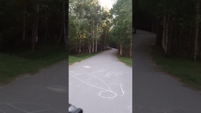 проезда на велосипеде (2часть) 🚲