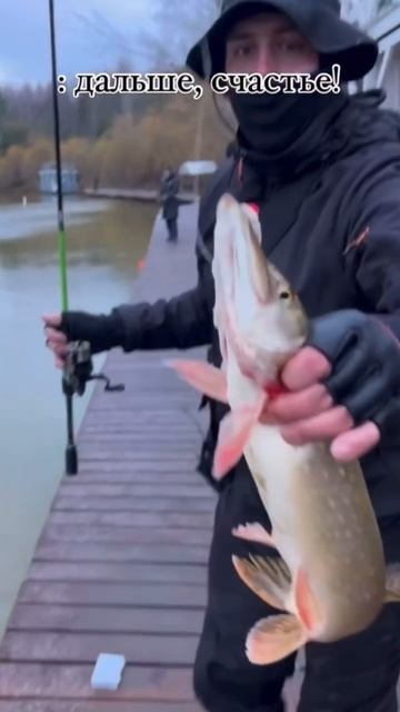 ВСЕ КУПИТЬ,НЕ ВОЗМОЖНО! #fishing #рыбалка #природа #carpfishing #рыба #спиннинг #клев #поклевка #fy