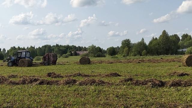 сенокос