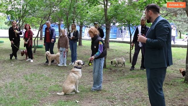 «Хвостатый пикник» провели любителей животных в Хабаровске