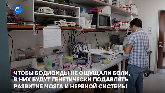 Для человека