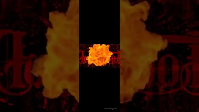 video_resized (1)