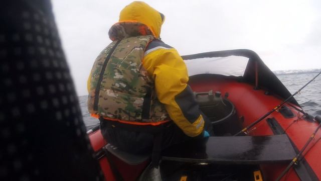 GOPR2883