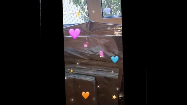 1000025835.mp4 (Собака следит за планированием приточно-вытяжной вентиляции в доме А-фрейм)