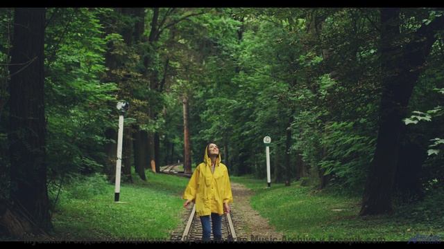 Эта дорога ведёт к месту, где начинается ваша история! - Too Many Roads -- One Man Book -- Brand New