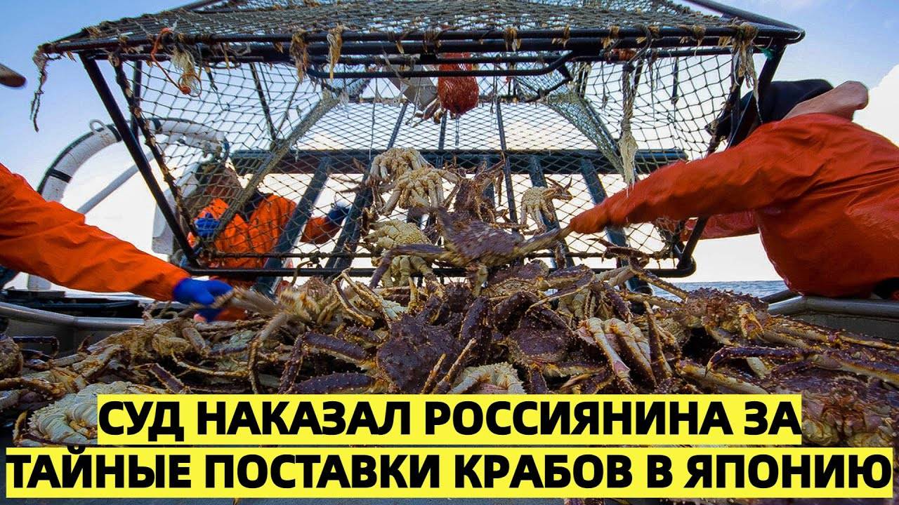 «Крабный след в Японии: суд взыскал имущество россиянина за тайные поставки крабов в Японию»