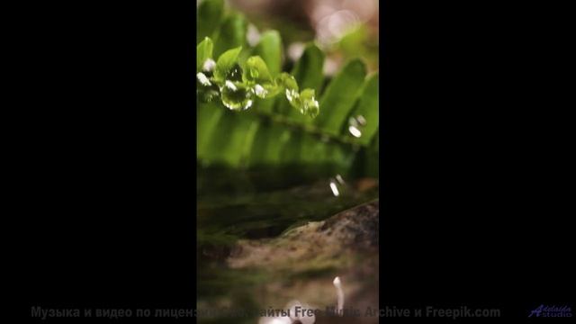 Океан, песок и музыка, которая звучит как биение двух сердец! - Love Male -- Quint Baker -- Psychic