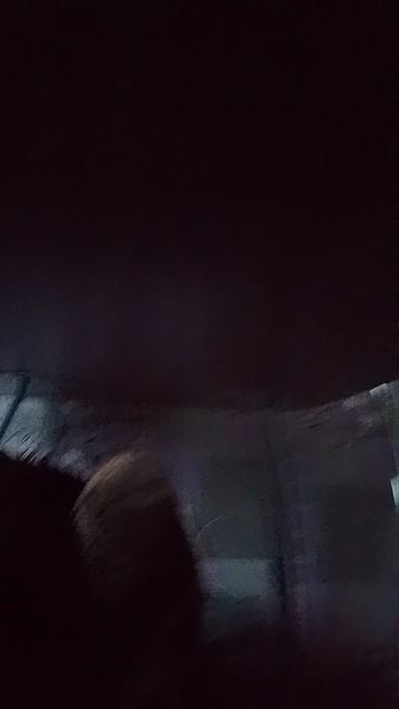 паша+виолетта=❤️