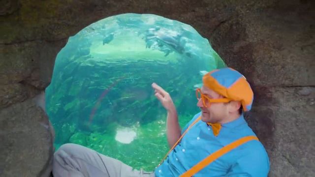 Блиппи (Blippi) - Песня про пингвинов   Изучай этот мир вместе с Блиппи   Обучающие видео для детей