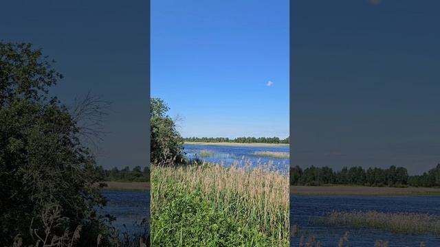 открываем Россию Ярославская область Вареговские карьеры