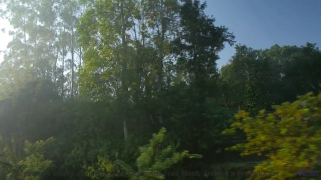 Ты почувствуешь, как что-то меняется внутри после просмотра! - Trumpets-of-Jericho -- Shaolin Dub --