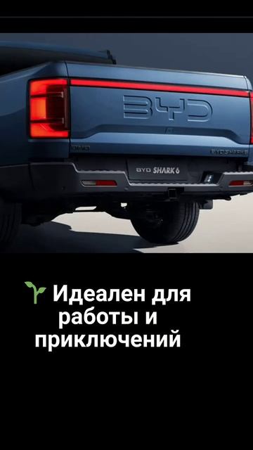 BYD Shark