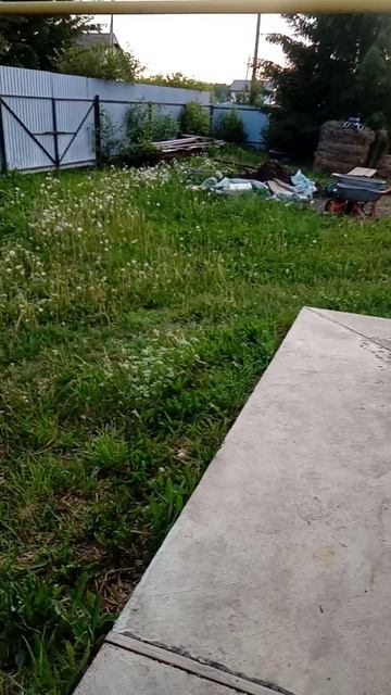 VID_20250608_202913.mp4