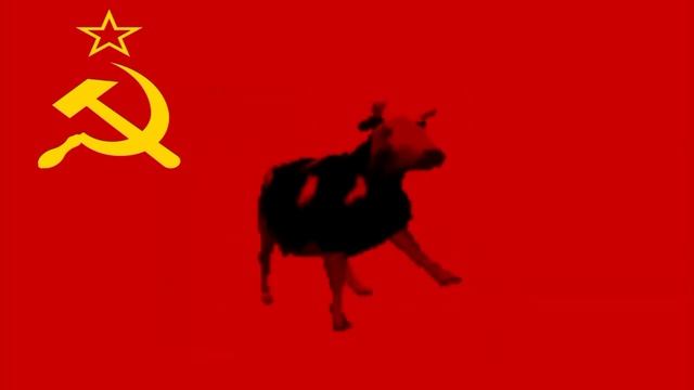 корова танцует