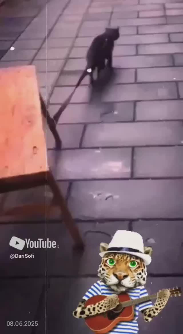VID_20250608193101