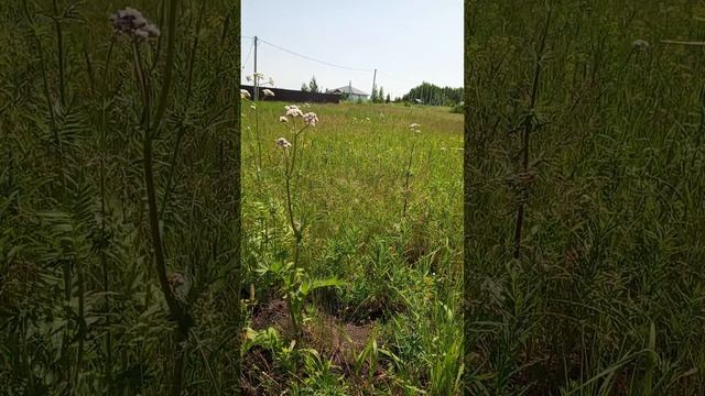 Мой дом: история строительства часть 1