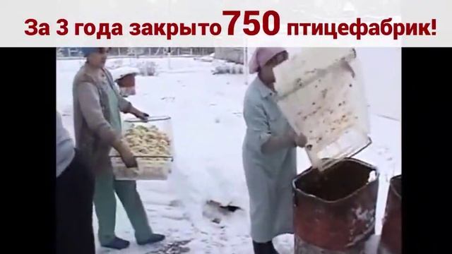 VID_20240801_221247_843.mp4