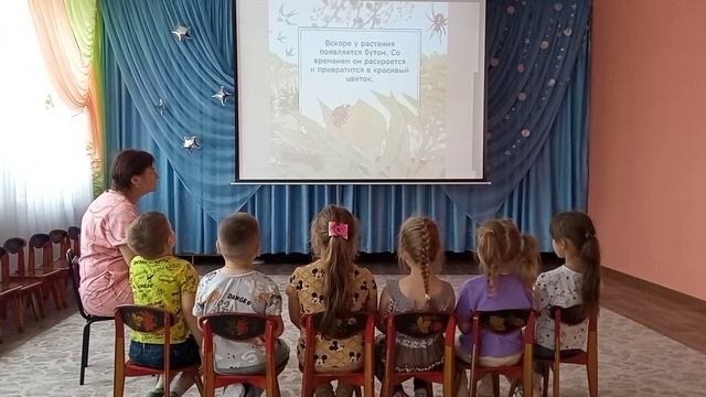 Применение слайд-шоу в занятии по познавательному развитию «Растения»