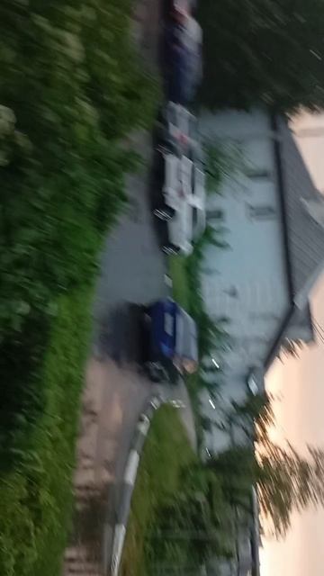 scene_output.mp4