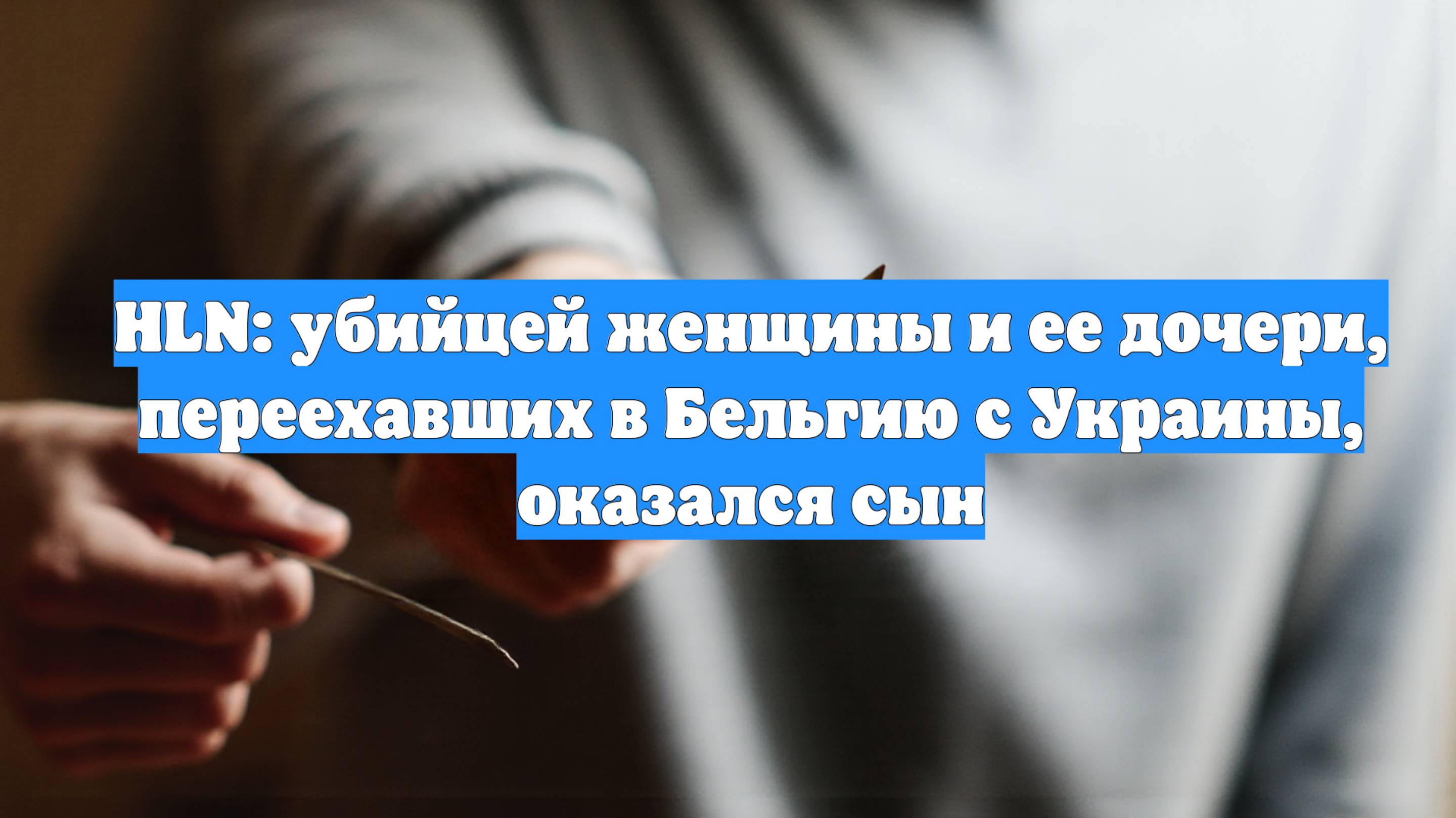 HLN: убийцей женщины и ее дочери, переехавших в Бельгию с Украины, оказался сын