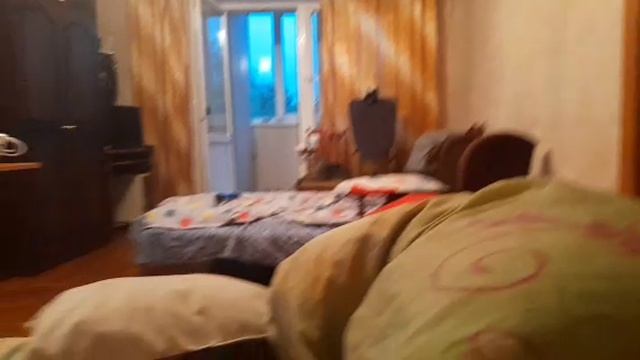 война с енотом Педро