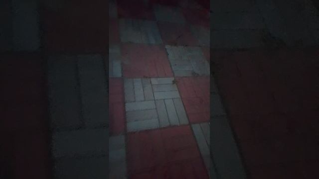 тупая авария с другом на великах