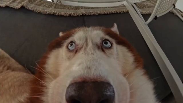-6353243037343038007