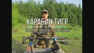 Карабин Тигр.