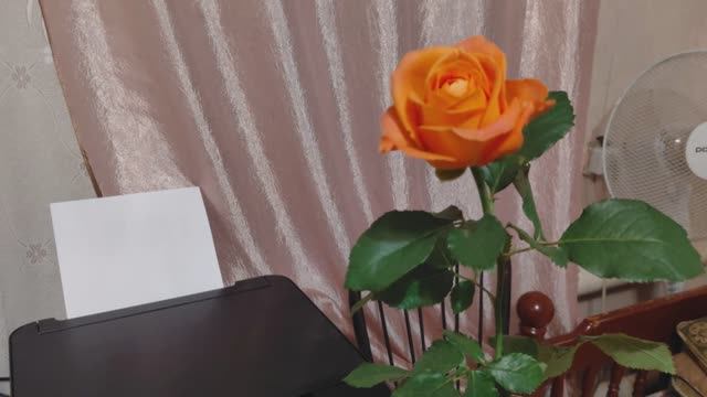 Смотрю в окно.