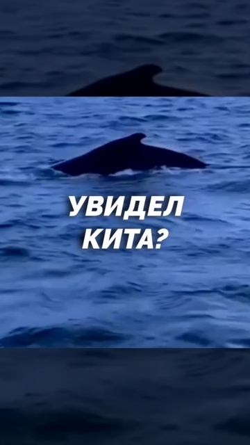 Иногда так хочется простого человеческого... достроил баню