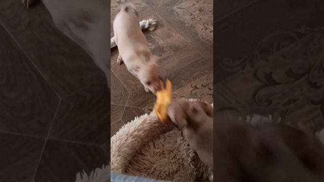 1000088321.mp4